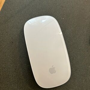 Apple Bluetooth Mouse (uses batteries)
